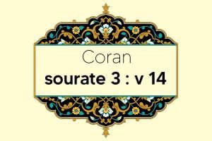 coran-s3-v14