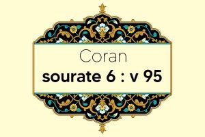 coran-s6-v95
