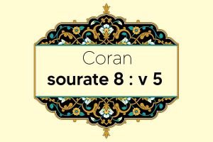 coran-s8-v5