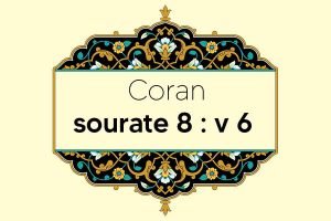 coran-s8-v6