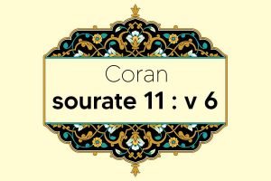 coran-s11-v6