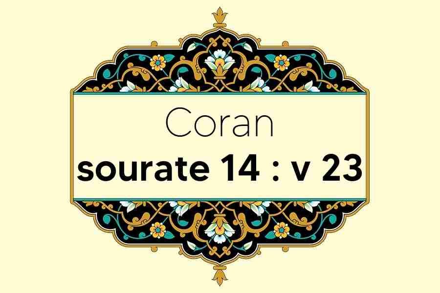 coran-s14-v23