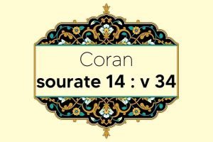 coran-s14-v34