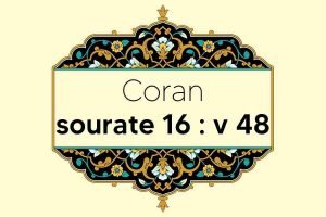 coran-s16-v48