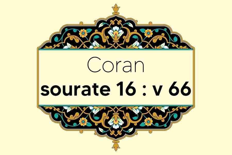 coran-s16-v66