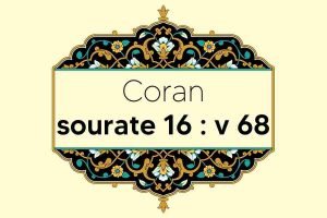 coran-s16-v68