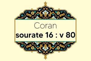 coran-s16-v80
