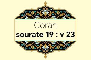 coran-s19-v23