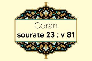 coran-s23-v81