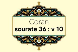 coran-s36-v10