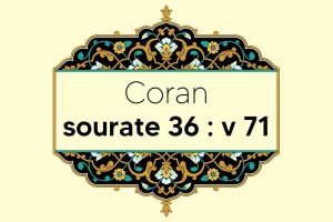 coran-s36-v71
