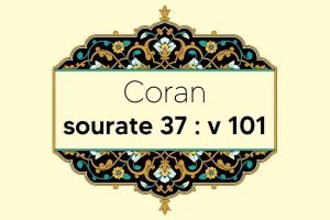 coran-s37-v101