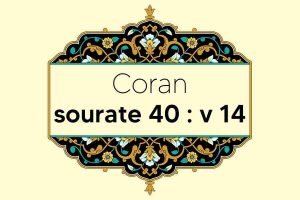 coran-s40-v14