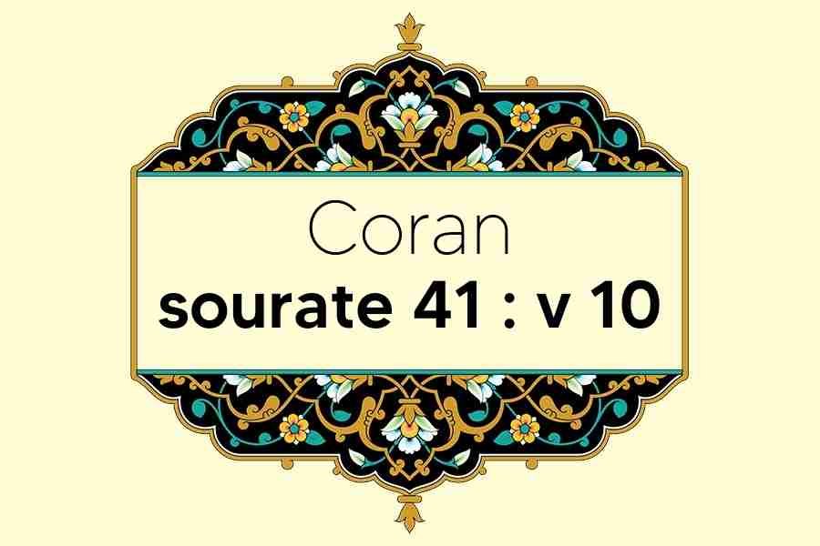 coran-s41-v10