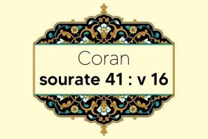 coran-s41-v16