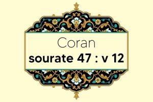 coran-s47-v12