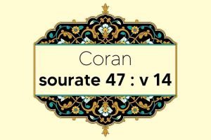 coran-s47-v14