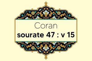 coran-s47-v15