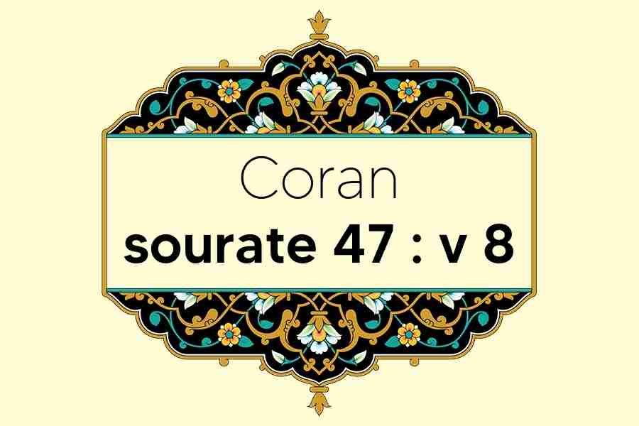 coran-s47-v8