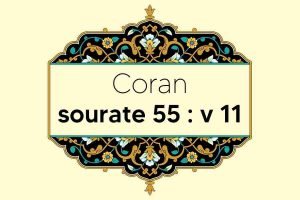 coran-s55-v11