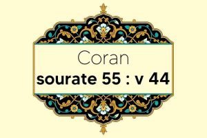 coran-s55-v44