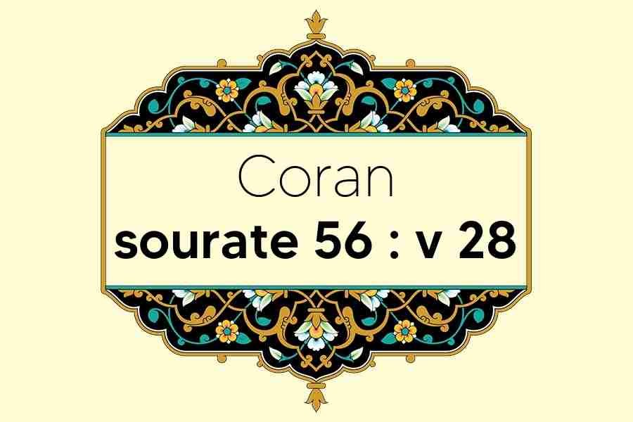 coran-s56-v28