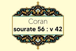 coran-s56-v42