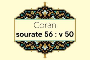coran-s56-v50