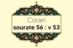 coran-s56-v53