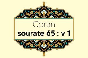 coran-s65-v1