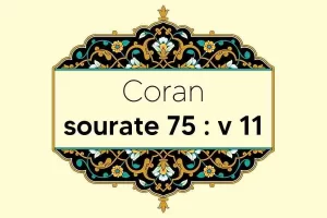 coran-s75-v11