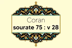 coran-s75-v28