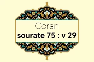 coran-s75-v29