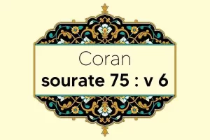 coran-s75-v6