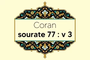 coran-s77-v3