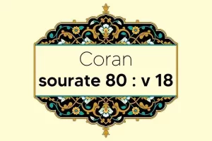 coran-s80-v18