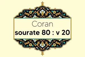 coran-s80-v20