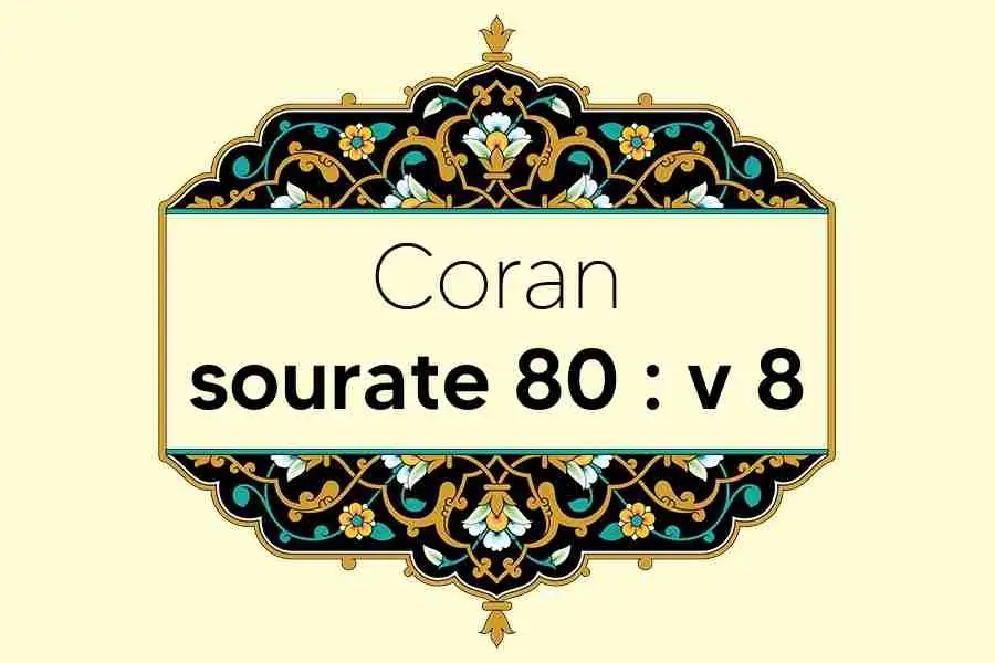 coran-s80-v8