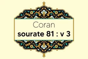 coran-s81-v3