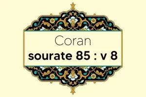coran-s85-v8