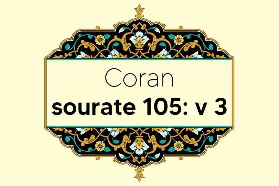 coran-s105-v3