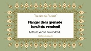 grenade-nuit-vendredi